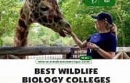 20 Best Wildlife Biology Degree Online