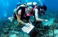 25 Best Online Marine Biology Degree